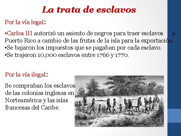 La trata de esclavos Por la vía legal: • Carlos III autorizó un asiento