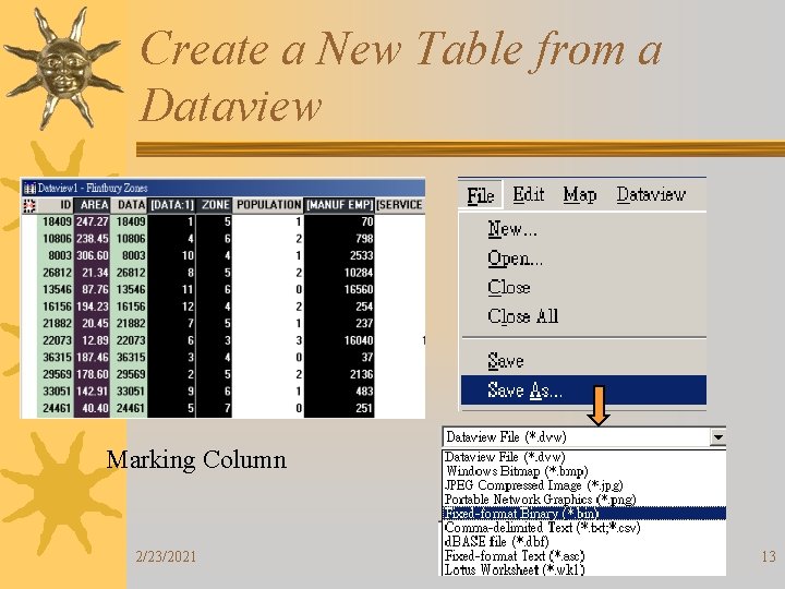 Create a New Table from a Dataview Marking Column 2/23/2021 13 