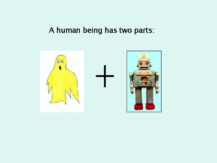 A human being has two parts: 