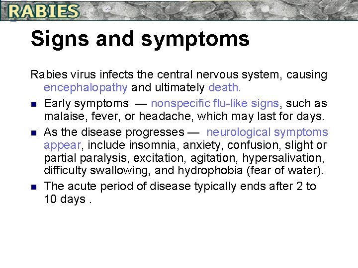 Signs and symptoms Rabies virus infects the central nervous system, causing encephalopathy and ultimately