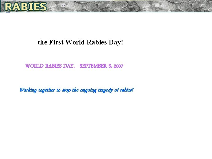 the First World Rabies Day! WORLD RABIES DAY, SEPTEMBER 8, 2007 Working together to