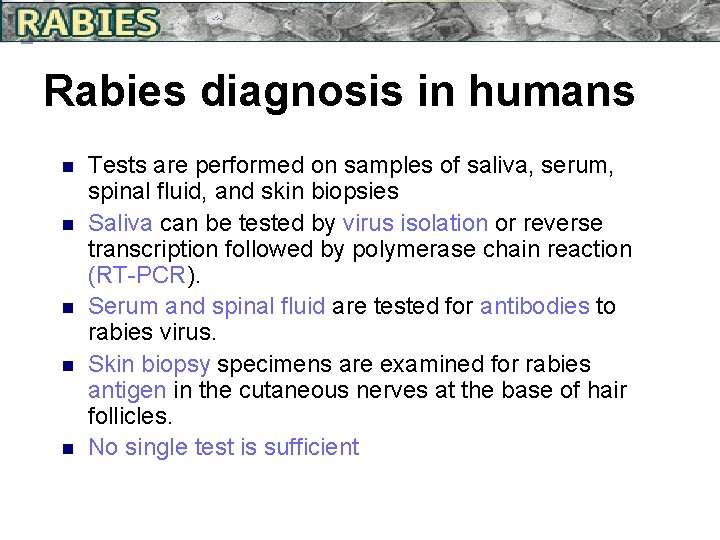 Rabies diagnosis in humans n n n Tests are performed on samples of saliva,