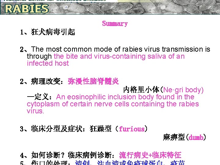 预防和管理 Summary 1、狂犬病毒引起 2、The most common mode of rabies virus transmission is through the