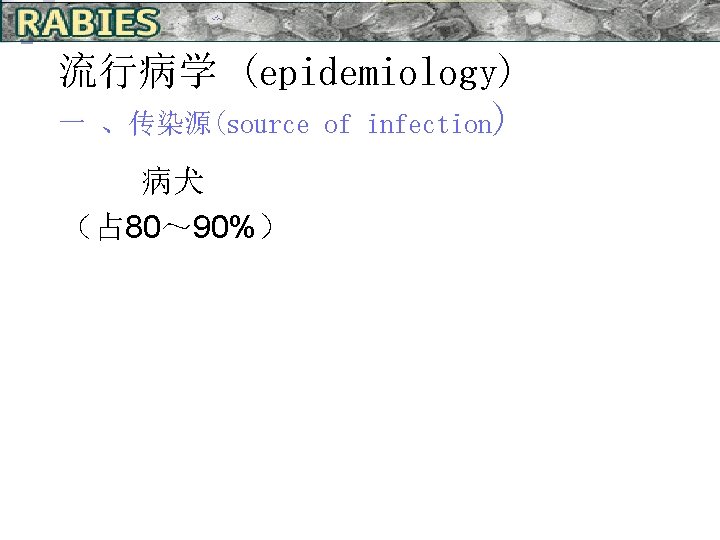 流行病学 (epidemiology) 一 、传染源(source of infection) 病犬 （占 80～ 90%） 