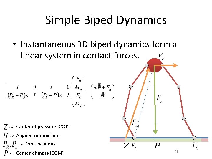 Simple Biped Dynamics • Instantaneous 3 D biped dynamics form a linear system in Simple Biped Dynamics • Instantaneous 3 D biped dynamics form a linear system in