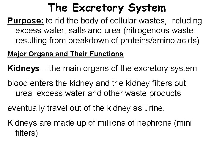 The Excretory System Purpose: to rid the body of cellular wastes, including excess water,