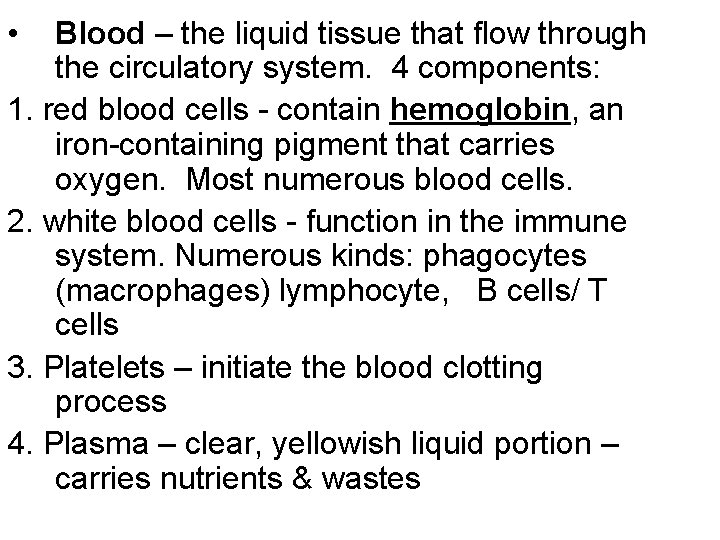 • Blood – the liquid tissue that flow through the circulatory system. 4