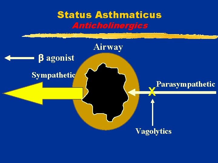 Status Asthmaticus Anticholinergics agonist Sympathetic Airway Parasympathetic X Vagolytics 