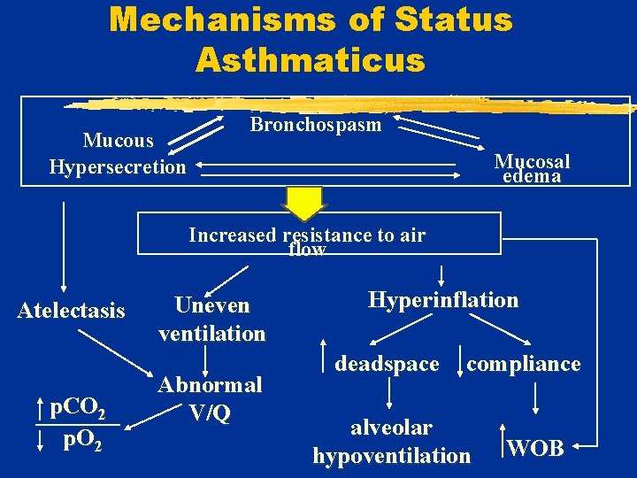 Mechanisms of Status Asthmaticus Mucous Hypersecretion Bronchospasm Mucosal edema Increased resistance to air flow