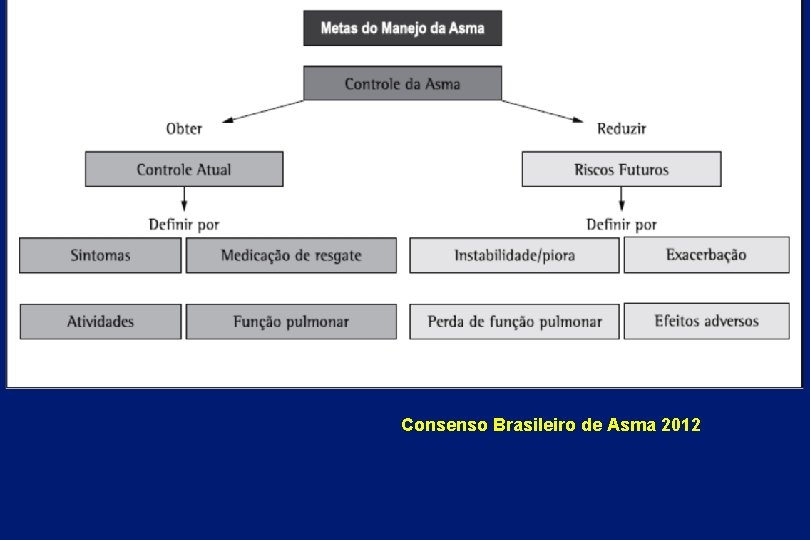 Consenso Brasileiro de Asma 2012 