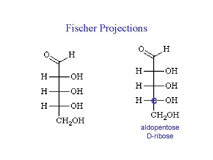 Fischer Projections C aldopentose D-ribose 