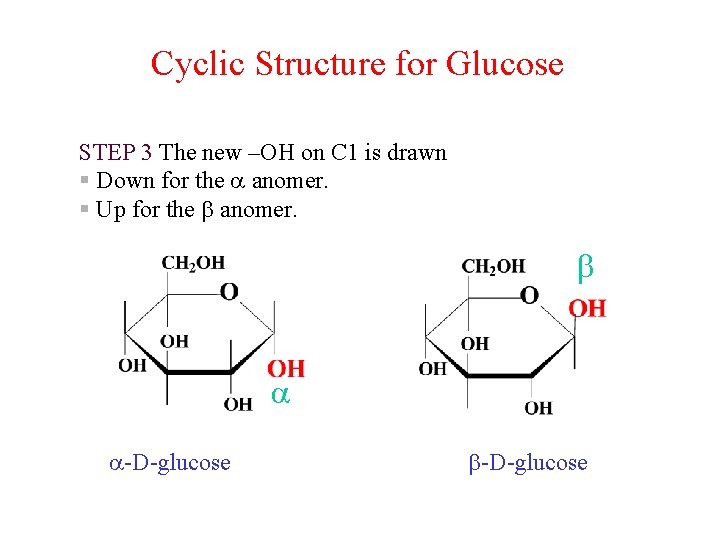 Cyclic Structure for Glucose STEP 3 The new –OH on C 1 is drawn