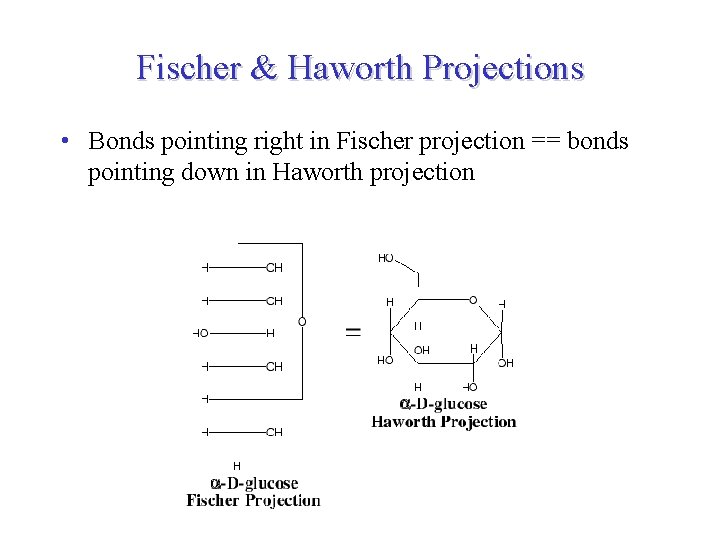 Fischer & Haworth Projections • Bonds pointing right in Fischer projection == bonds pointing