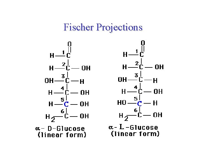 Fischer Projections galactose Glucose 