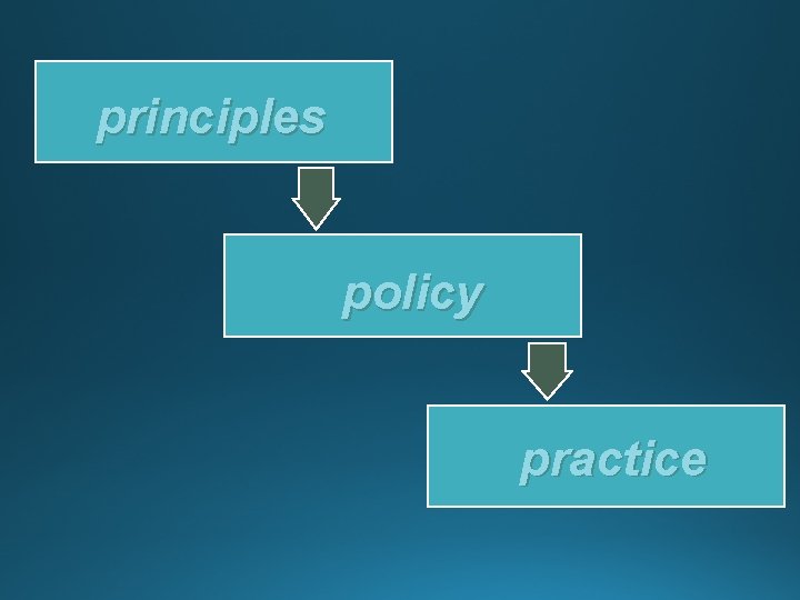 principles policy practice 