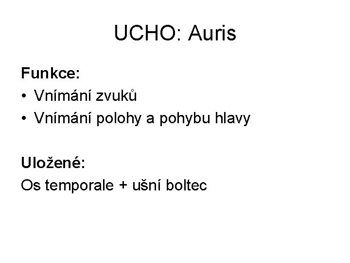 UCHO: Auris Funkce: • Vnímání zvuků • Vnímání polohy a pohybu hlavy Uložené: Os