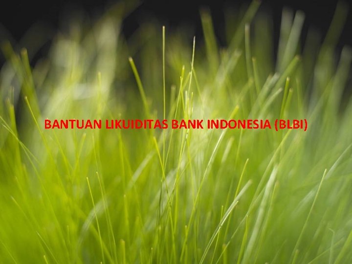 BANTUAN LIKUIDITAS BANK INDONESIA (BLBI) 