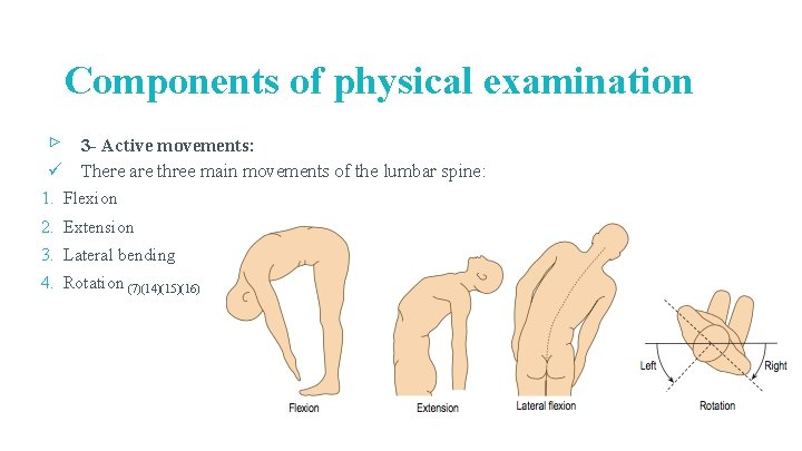 Components of physical examination ▹ 3 - Active movements: ü There are three main Components of physical examination ▹ 3 - Active movements: ü There are three main