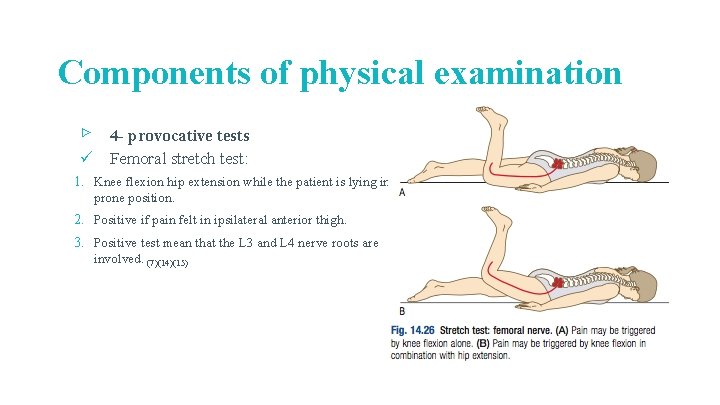 Components of physical examination ▹ 4 - provocative tests ü Femoral stretch test: 1.