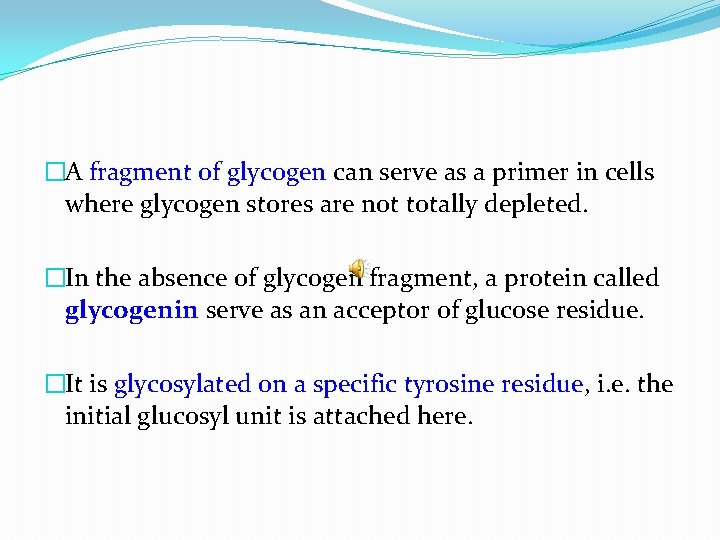 �A fragment of glycogen can serve as a primer in cells where glycogen stores