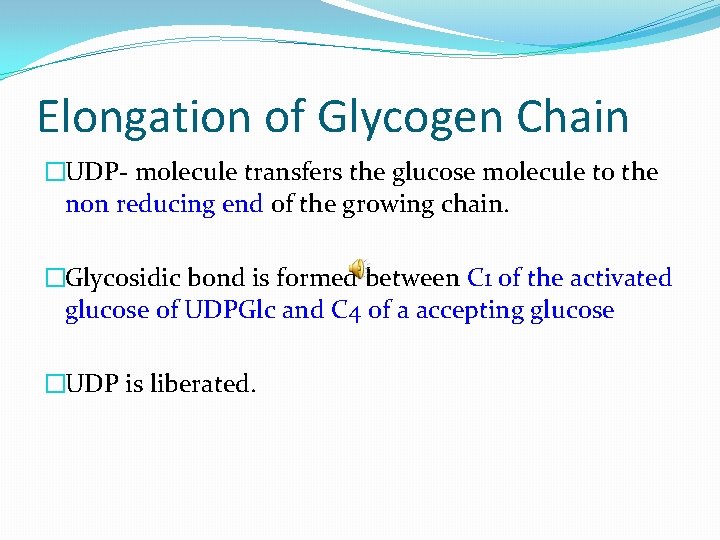 Elongation of Glycogen Chain �UDP- molecule transfers the glucose molecule to the non reducing