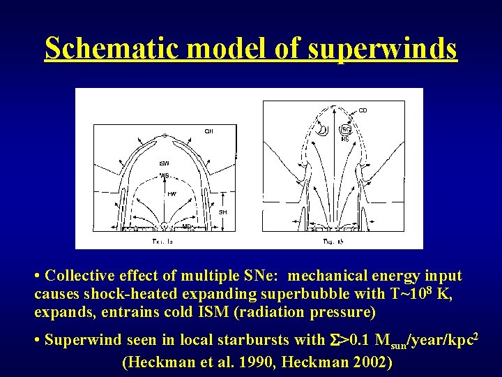 Schematic model of superwinds • Collective effect of multiple SNe: mechanical energy input causes