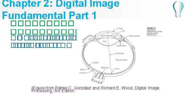 Chapter 2: Digital Image Fundamental Part 1 ������������ �� ���� � �� ������ (Figure