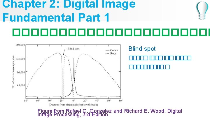 Chapter 2: Digital Image Fundamental Part 1 ����������� Blind spot ������ ���� � ����