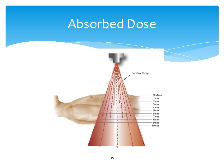 Absorbed Dose 65 
