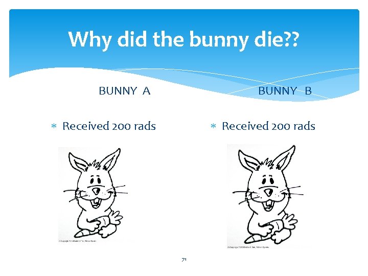 Why did the bunny die? ? BUNNY A BUNNY B Received 200 rads 71