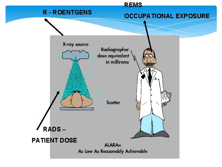 REMS R - ROENTGENS OCCUPATIONAL EXPOSURE RADS – PATIENT DOSE 79 