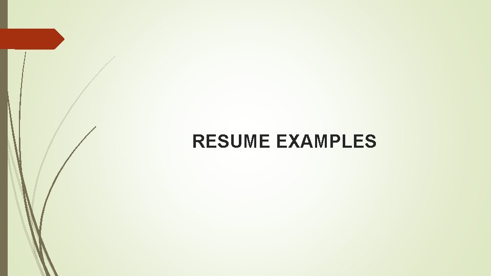 RESUME EXAMPLES 