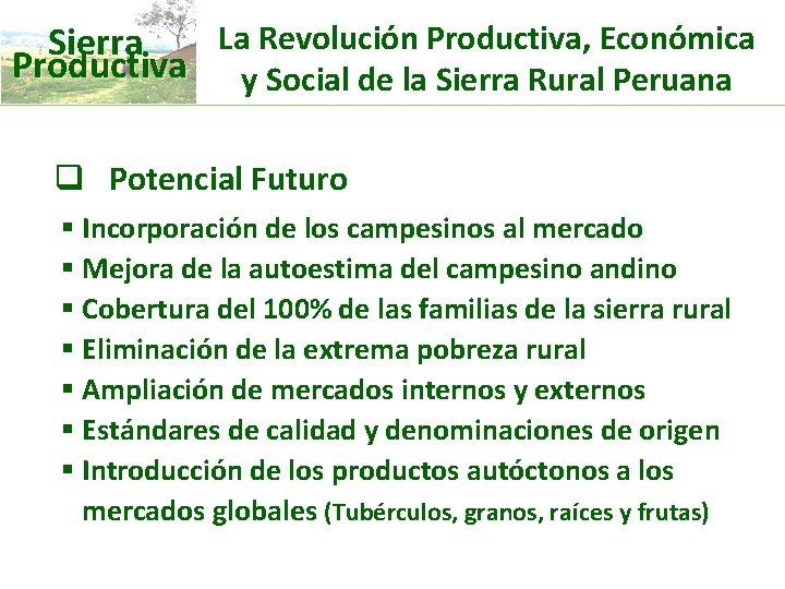 La Revolución Productiva, Económica Sierra Productiva y Social de la Sierra Rural Peruana q