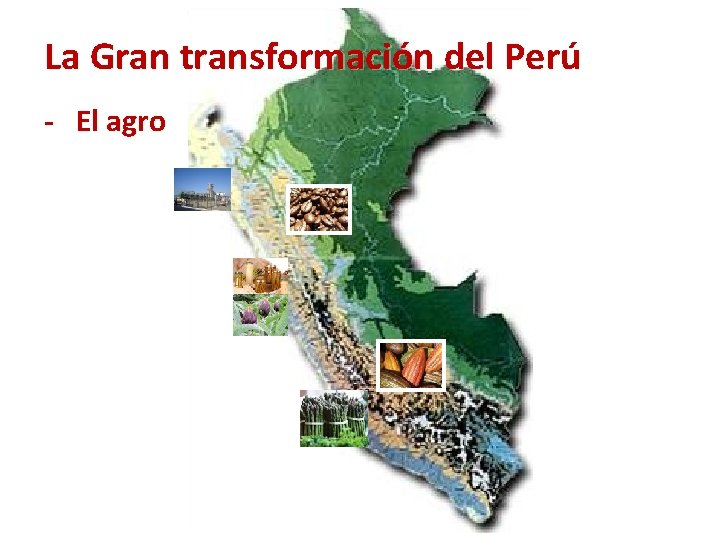 La Gran transformación del Perú - El agro 