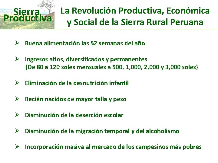 La Revolución Productiva, Económica Sierra Productiva y Social de la Sierra Rural Peruana Ø