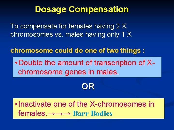 Dosage Compensation To compensate for females having 2 X chromosomes vs. males having only