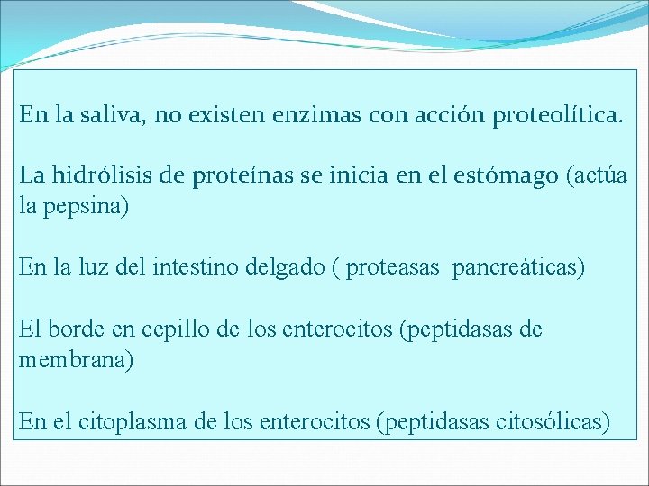 En la saliva, no existen enzimas con acción proteolítica. La hidrólisis de proteínas se