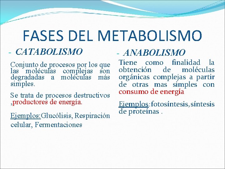 FASES DEL METABOLISMO - CATABOLISMO - ANABOLISMO Conjunto de procesos por los que las