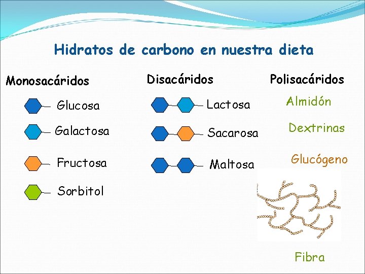 Hidratos de carbono en nuestra dieta Monosacáridos Disacáridos Polisacáridos Glucosa Lactosa Almidón Galactosa Sacarosa