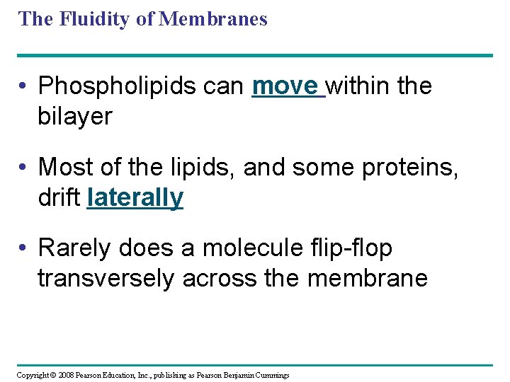 The Fluidity of Membranes • Phospholipids can move within the bilayer • Most of