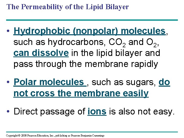The Permeability of the Lipid Bilayer • Hydrophobic (nonpolar) molecules, such as hydrocarbons, CO