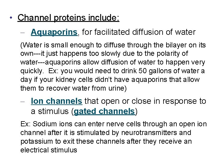  • Channel proteins include: – Aquaporins, for facilitated diffusion of water (Water is