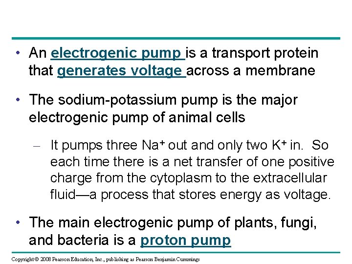  • An electrogenic pump is a transport protein that generates voltage across a