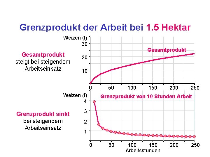 Grenzprodukt der Arbeit bei 1. 5 Hektar Weizen (t) 30 Gesamtprodukt steigt bei steigendem