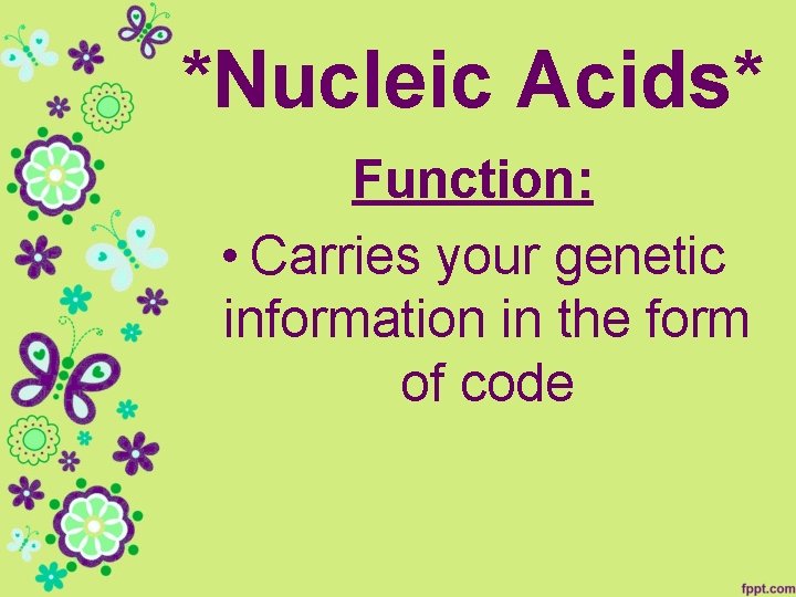 *Nucleic Acids* Function: • Carries your genetic information in the form of code 