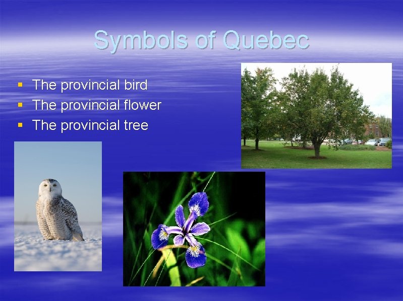 Symbols of Quebec § The provincial bird § The provincial flower § The provincial