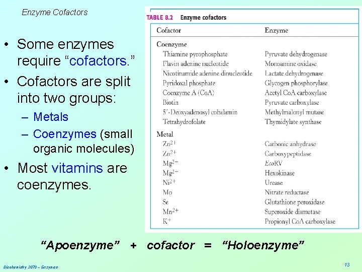 Enzyme Cofactors • Some enzymes require “cofactors. ” • Cofactors are split into two