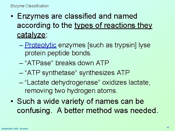 Enzyme Classification • Enzymes are classified and named according to the types of reactions
