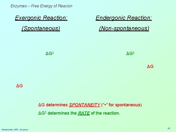 Enzymes – Free Energy of Reacion Exergonic Reaction: Endergonic Reaction: (Spontaneous) (Non-spontaneous) ΔG‡ ΔG