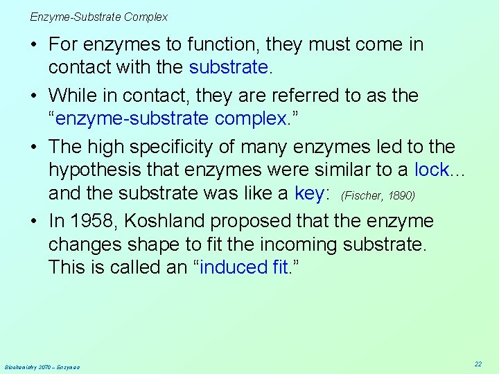 Enzyme-Substrate Complex • For enzymes to function, they must come in contact with the